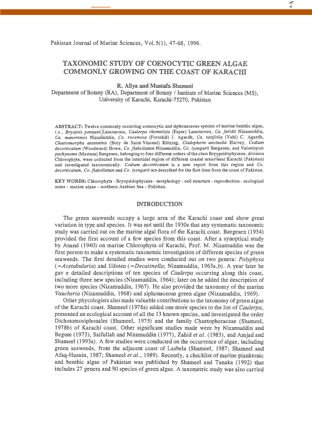 Taxonomic Study of Coenocytic Green Algae Commonly Growing on the Coast of Karacid