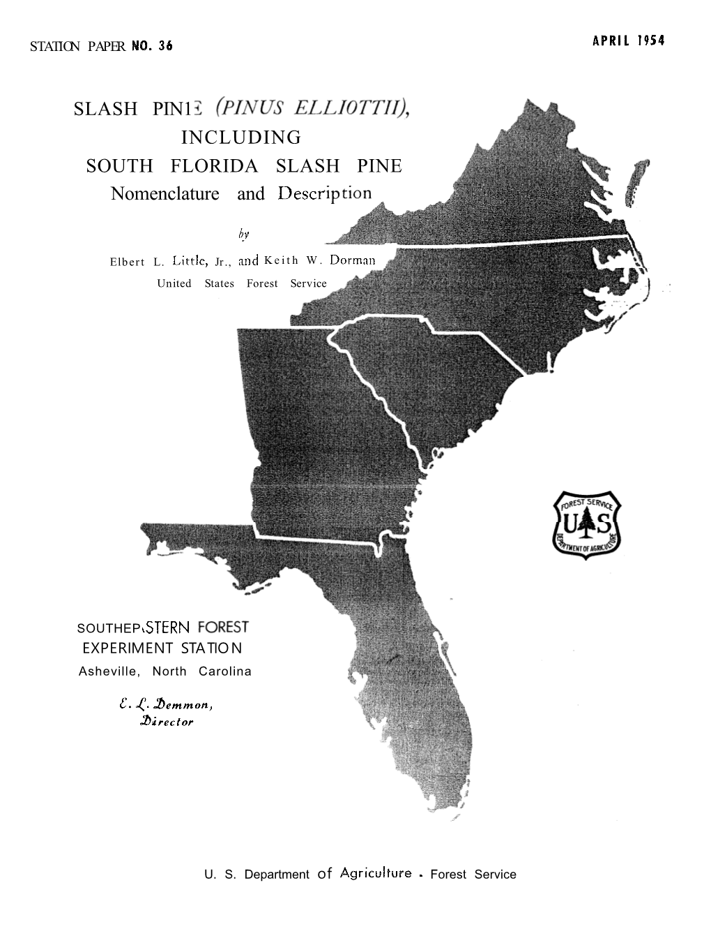 SLASH PINE Nomenclature and Descr