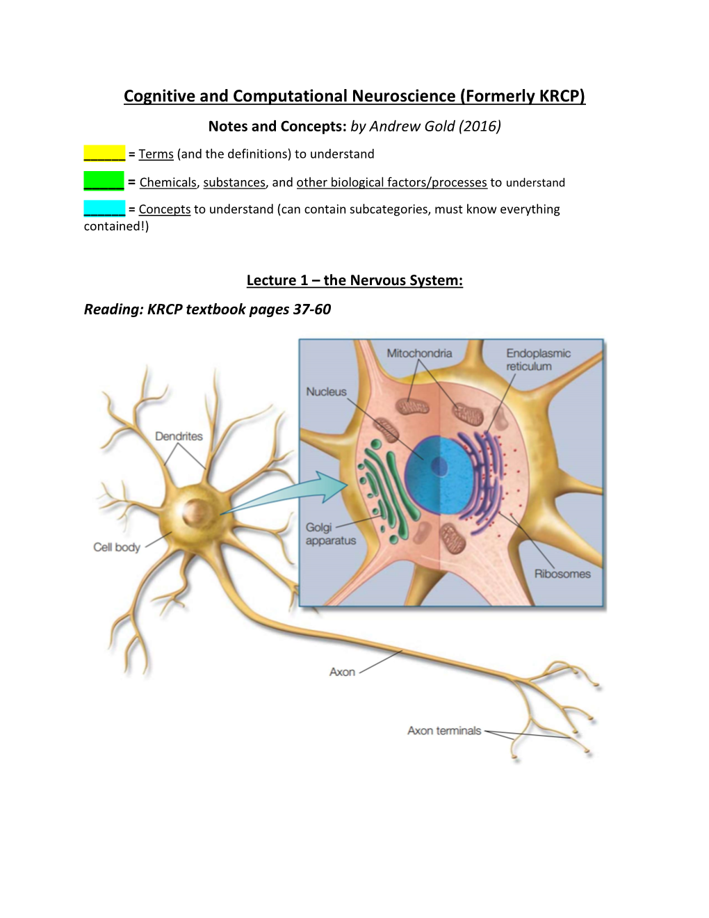 Cognitive and Computational Neuroscience (Formerly KRCP) Notes and Concepts: by Andrew Gold (2016) ______= Terms (And the Definitions) to Understand