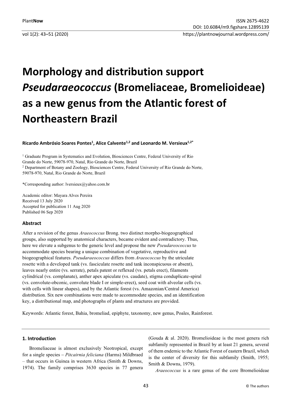Morphology and Distribution Support Pseudaraeococcus (Bromeliaceae, Bromelioideae) As a New Genus from the Atlantic Forest of Northeastern Brazil