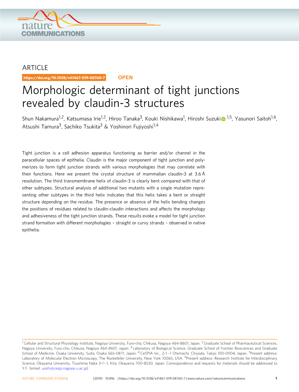 Morphologic Determinant of Tight Junctions Revealed by Claudin-3 Structures