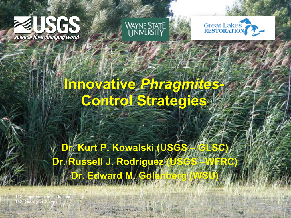 Innovative Phragmites- Control Strategies