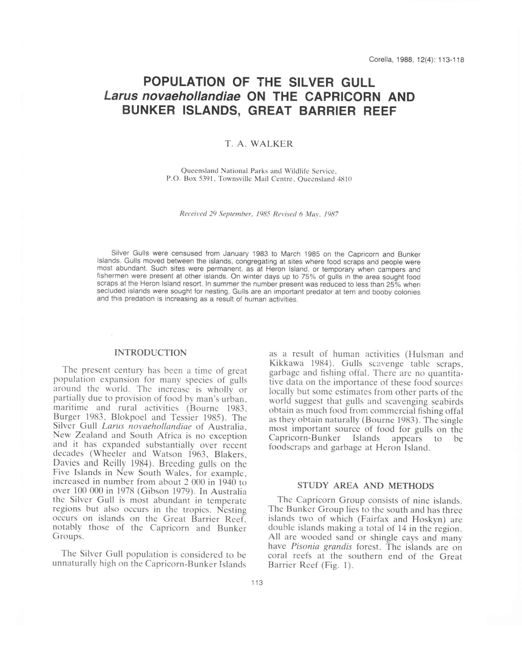 POPULATION of the SILVER GULL Larus Novaehollandiae on THE