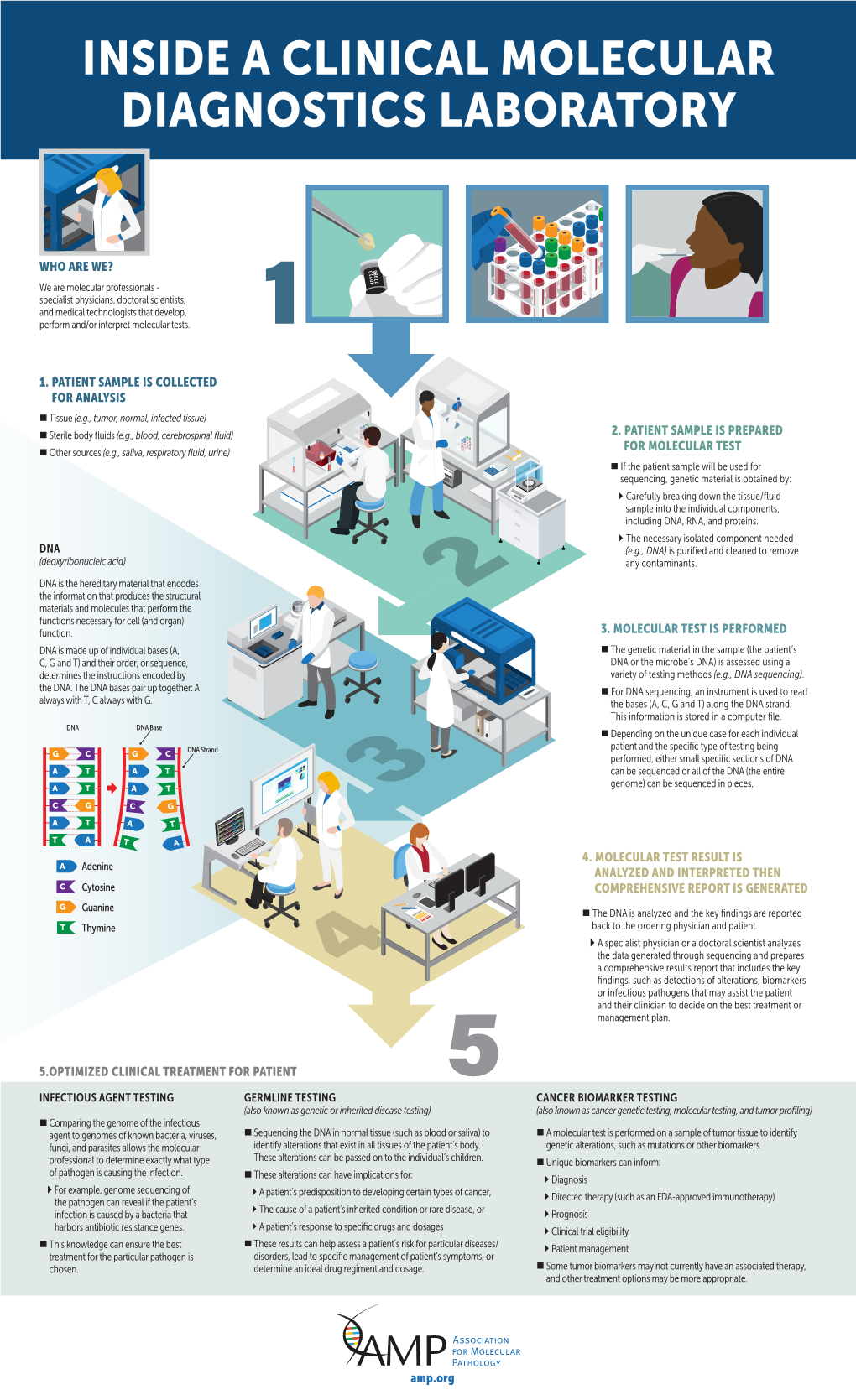 Inside a Clinical Molecular Diagnostics Laboratory