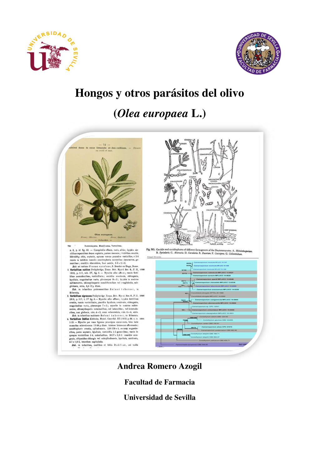 Hongos Y Otros Parásitos Del Olivo (Olea Europaea L.)