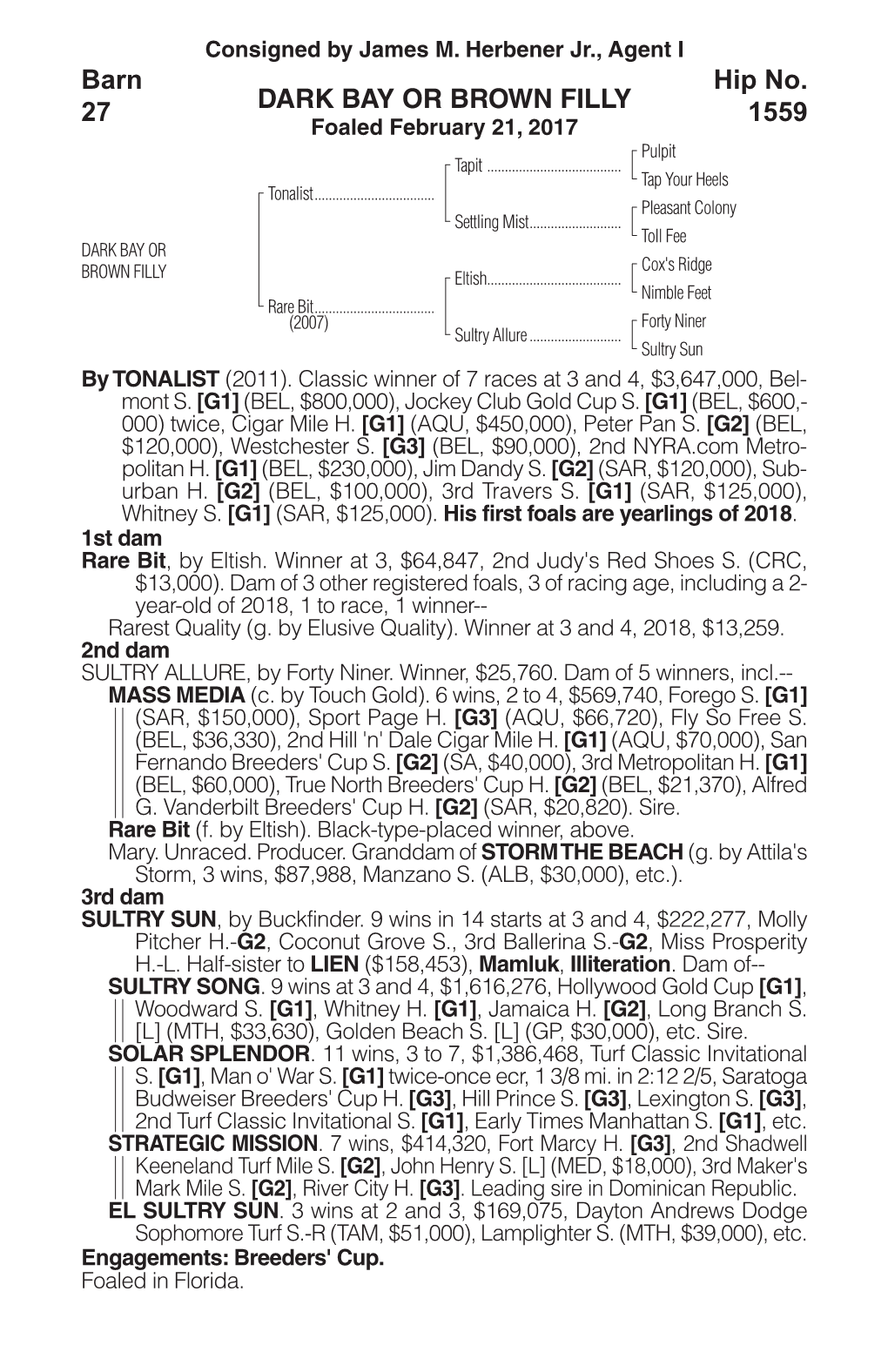 DARK BAY OR BROWN FILLY Barn 27 Hip No. 1559