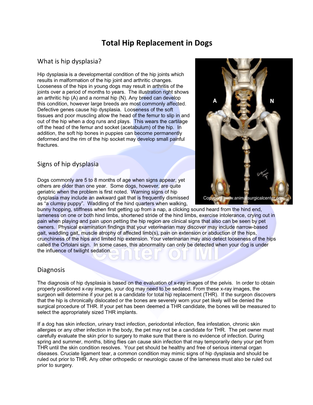 Total Hip Replacement in Dogs