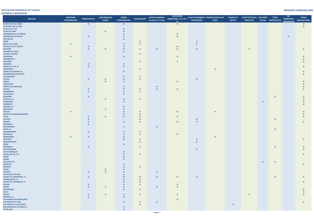 Diputación Provincial De Toledo Asitencia A