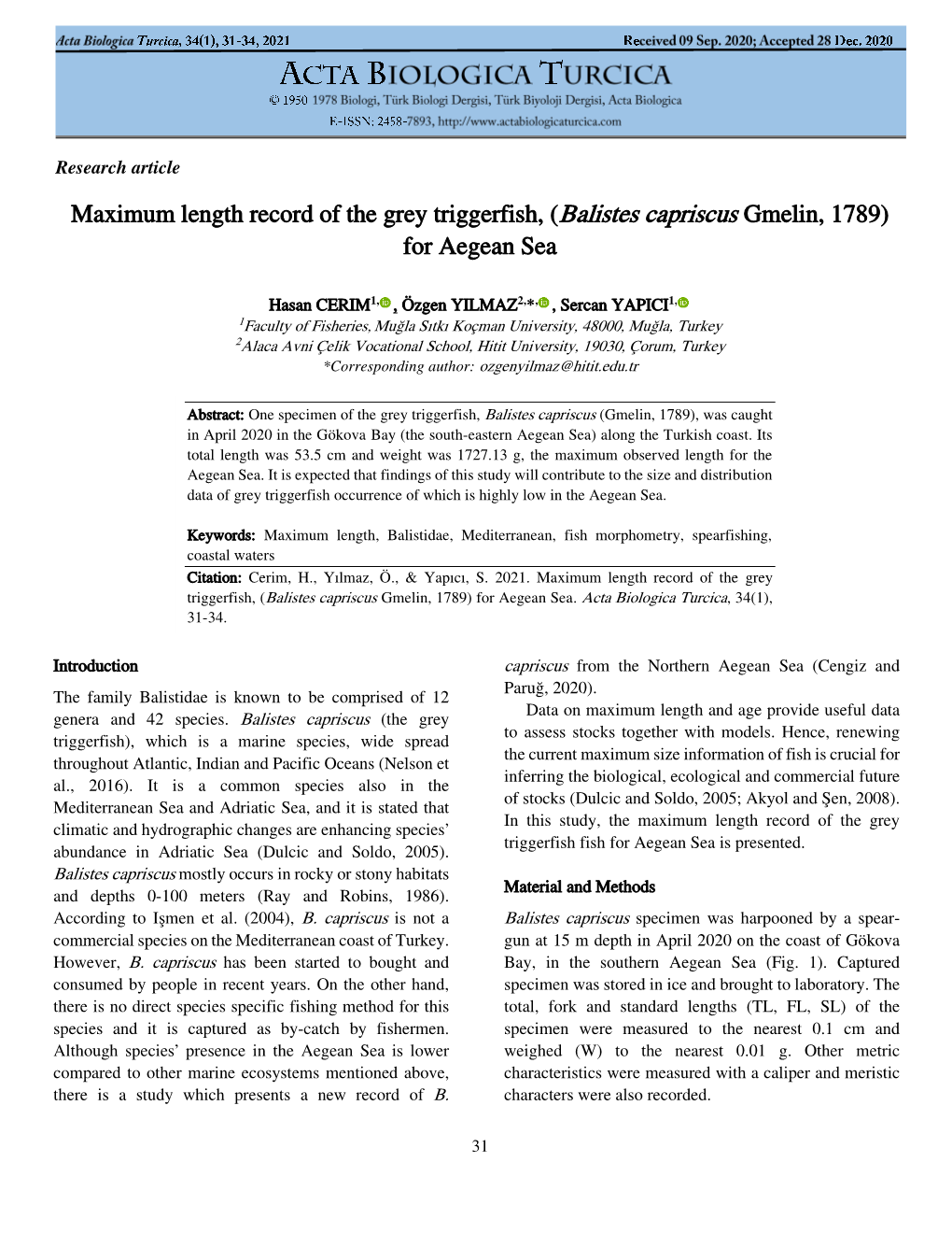 Maximum Length Record of the Grey Triggerfish, (Balistes Capriscus Gmelin, 1789) for Aegean Sea