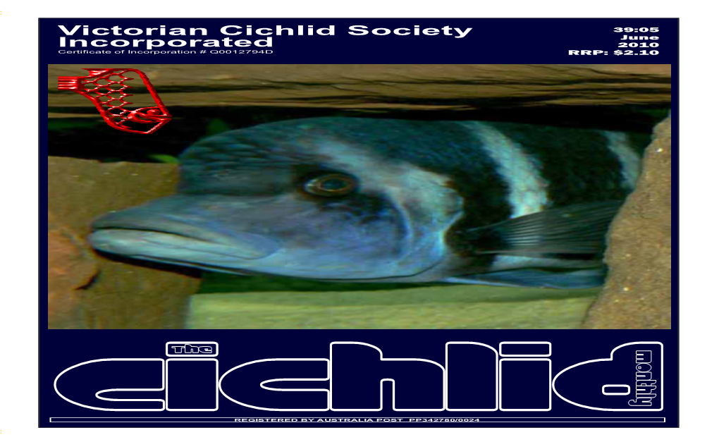 Victorian Cichlid Society Incorporated