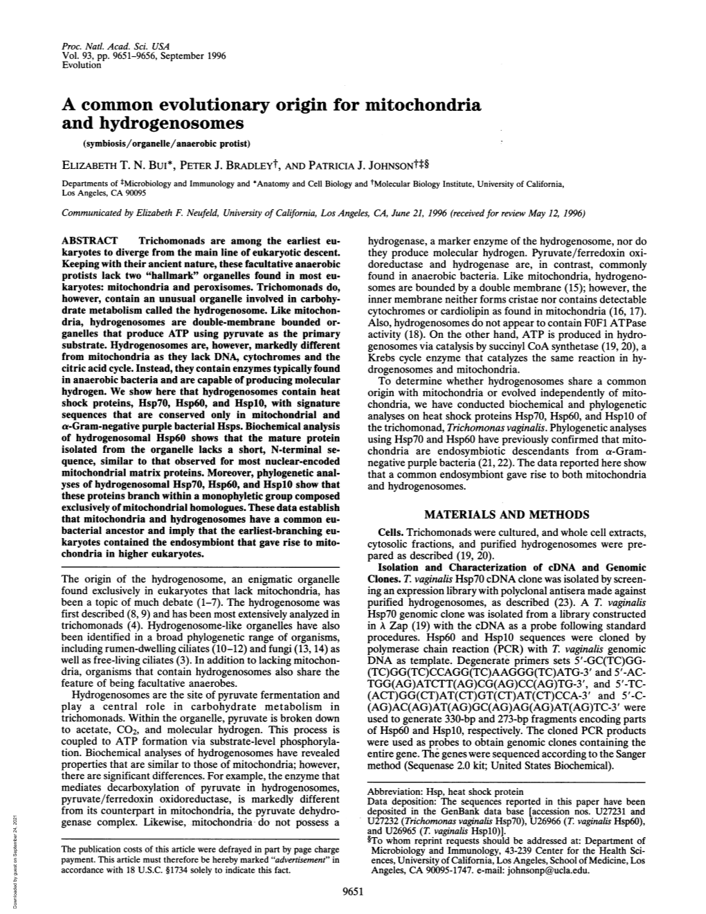 A Common Evolutionary Origin for Mitochondria and Hydrogenosomes (Symbiosis/Organelle/Anaerobic Protist) ELIZABETH T