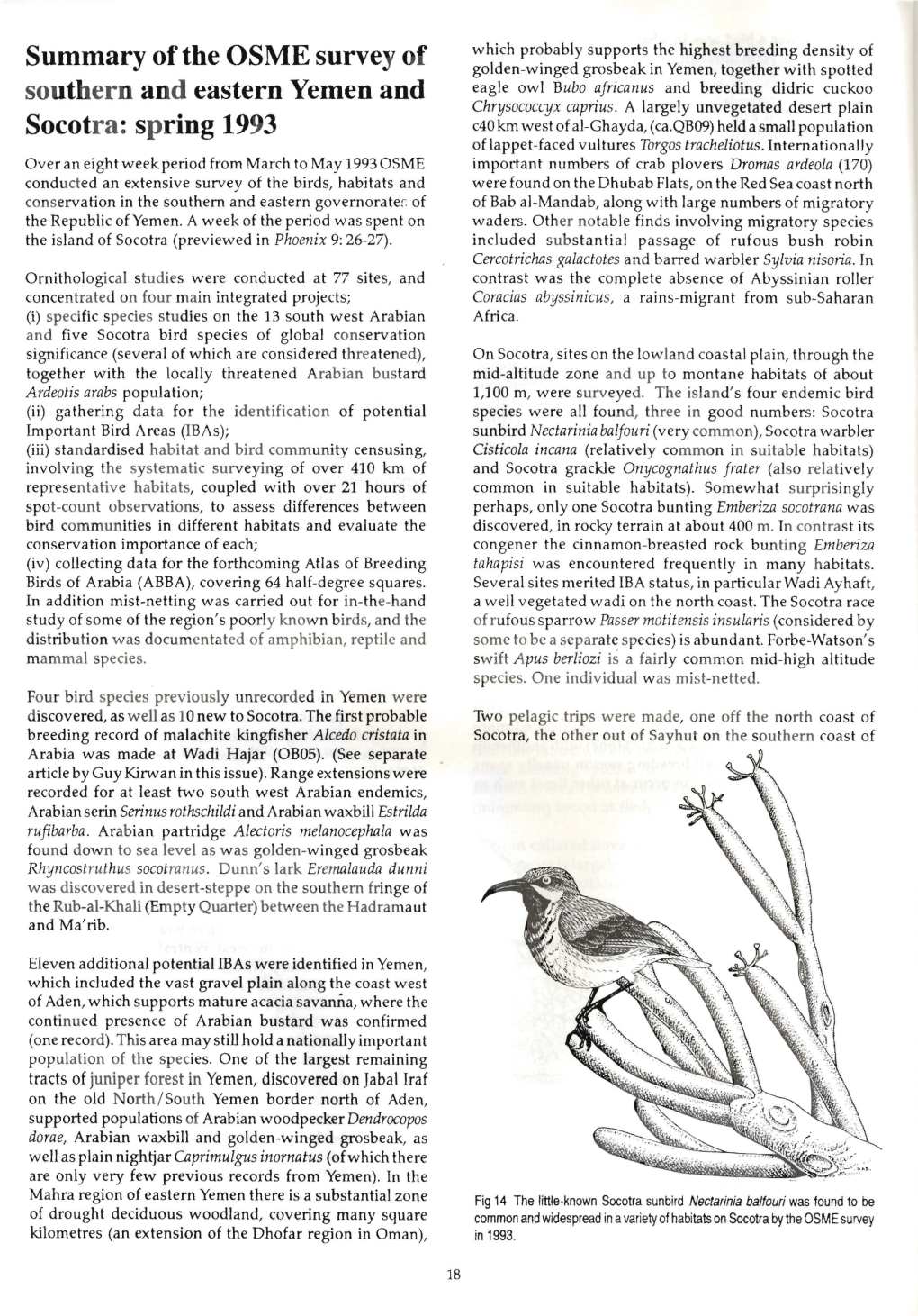 Summary of the OSME Survey of Southern and Eastern Yemen And