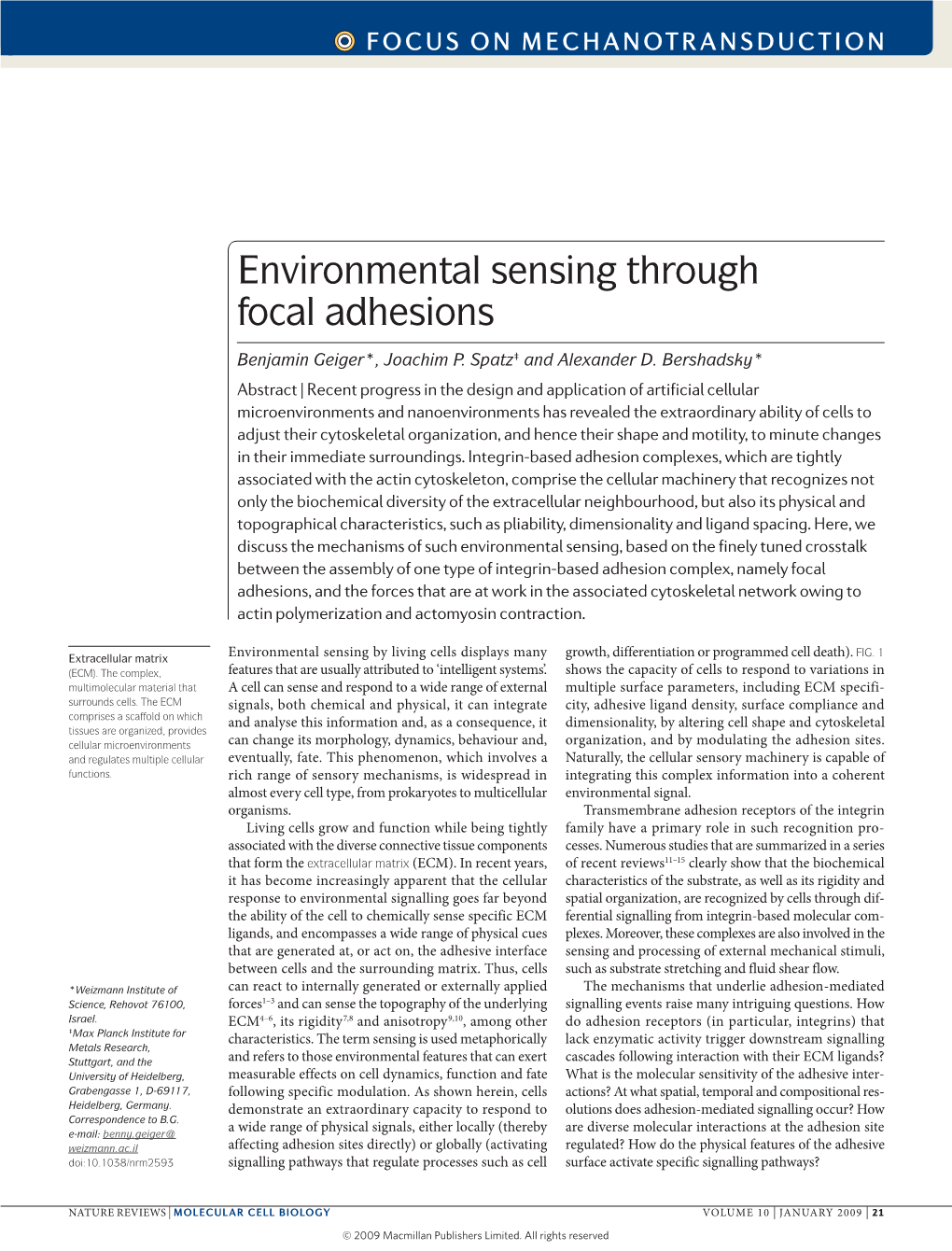 Environmental Sensing Through Focal Adhesions