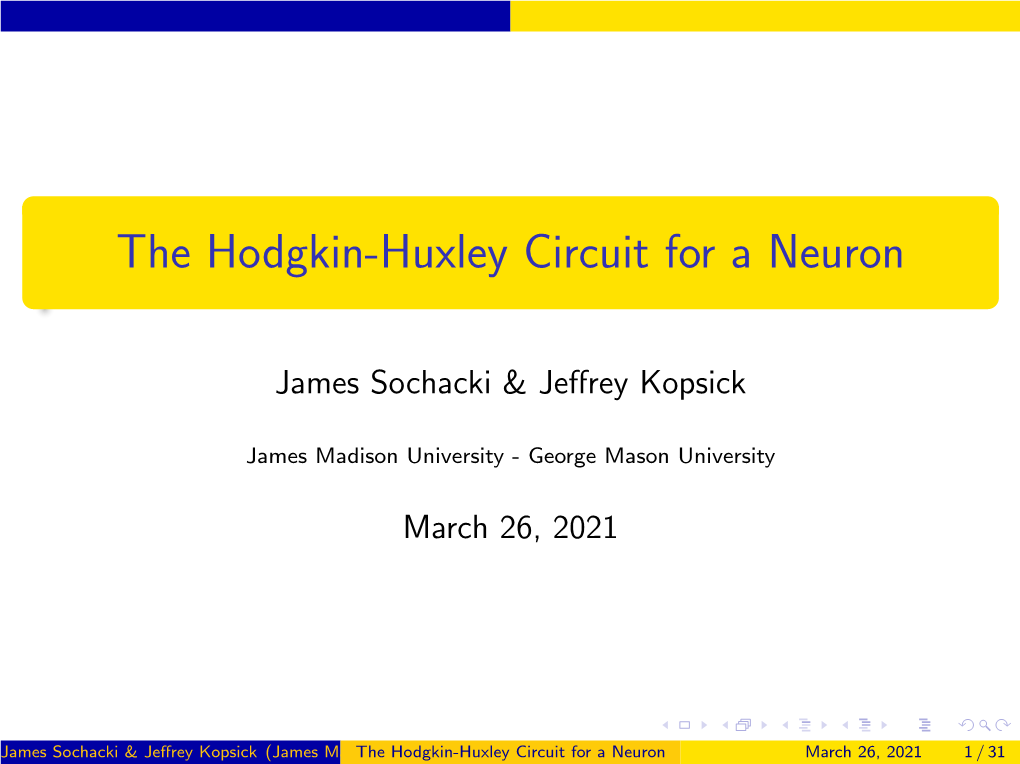 The Hodgkin-Huxley Circuit for a Neuron