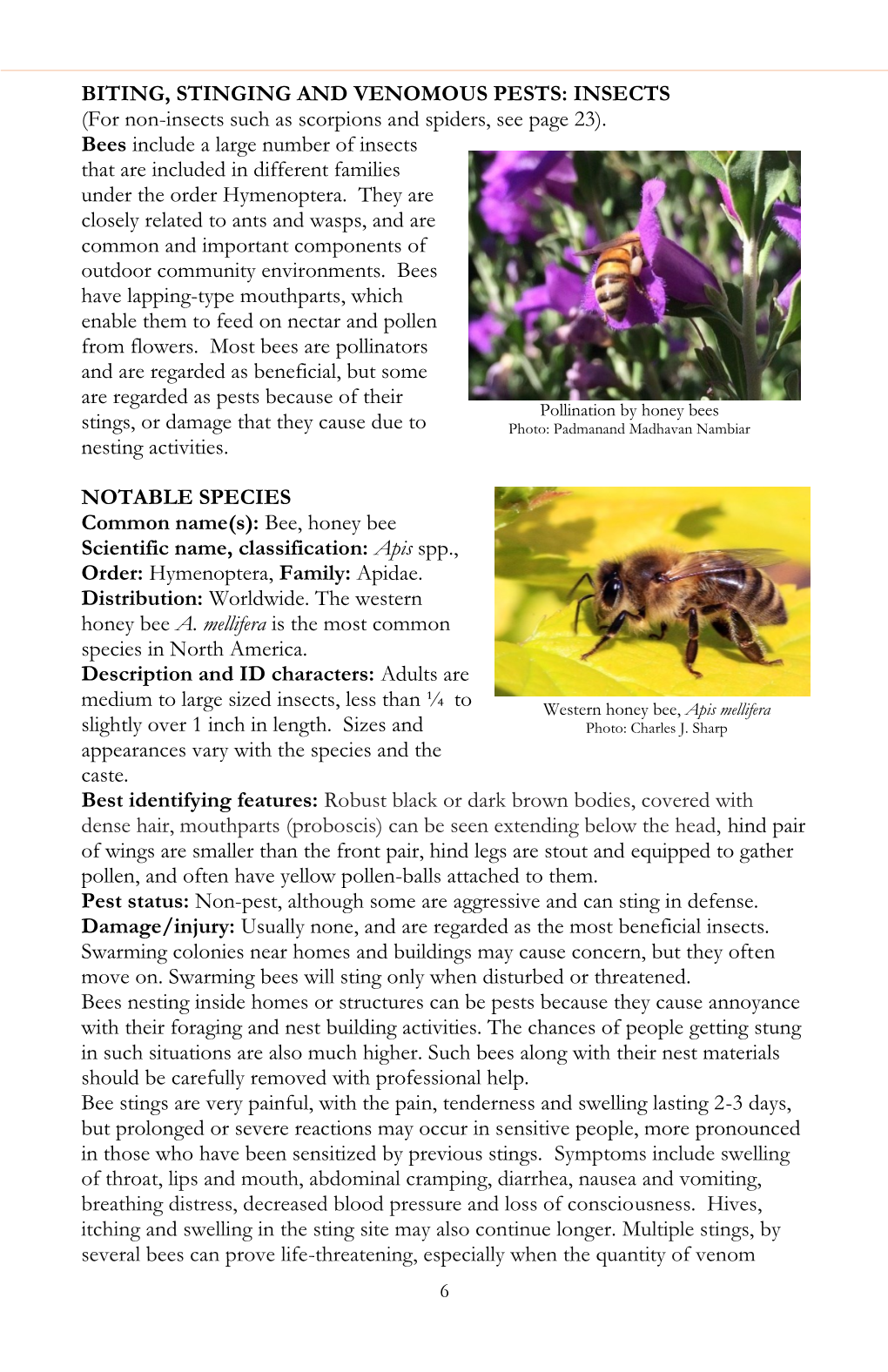 BITING, STINGING and VENOMOUS PESTS: INSECTS (For Non-Insects Such As Scorpions and Spiders, See Page 23)