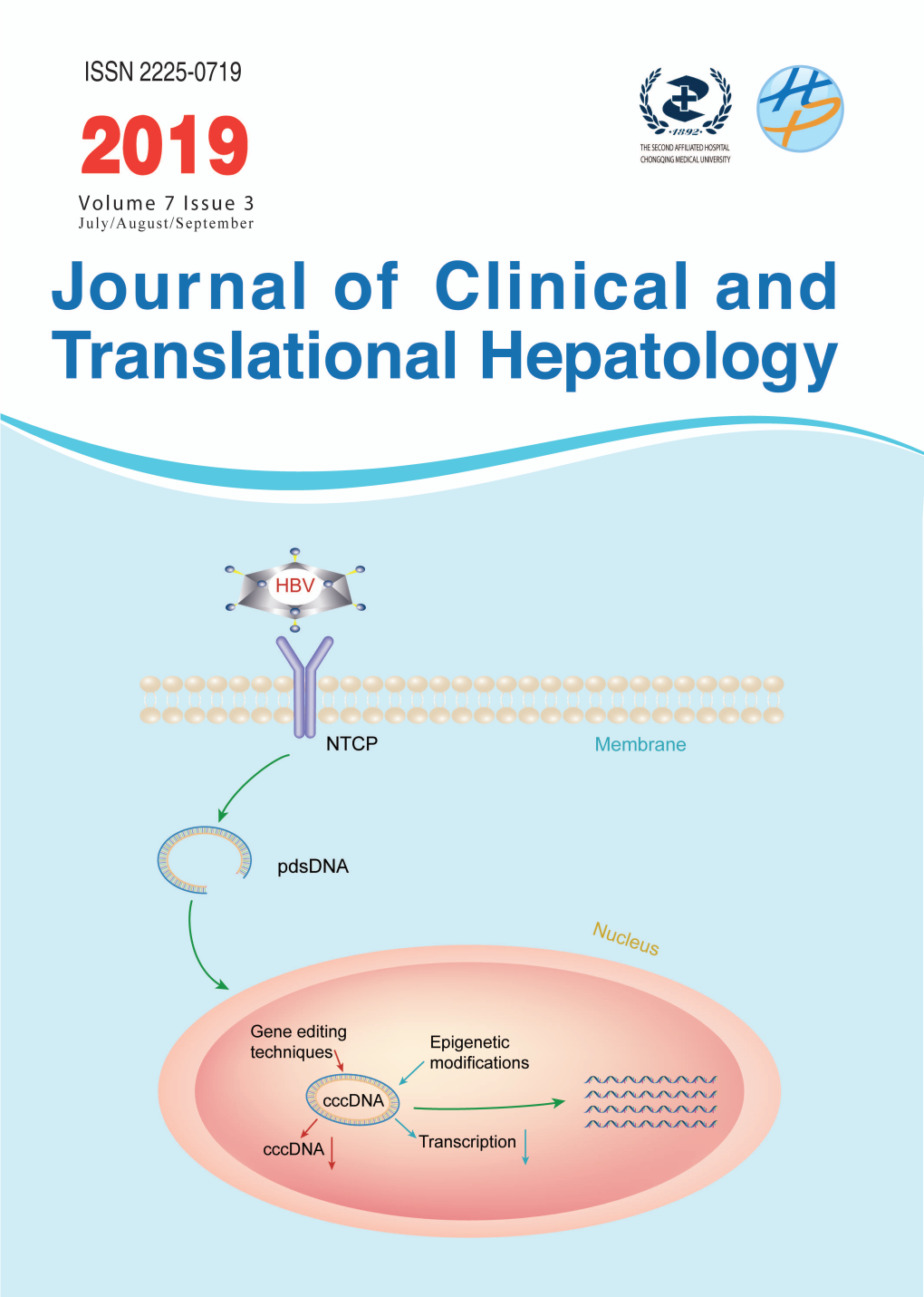 HBV Cccdna: the Stumbling Block for Treatment of HBV Infection Shousheng Liu and Yongning Xin