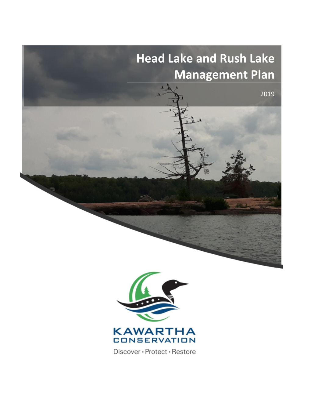 Head Lake and Rush Lake Management Plan