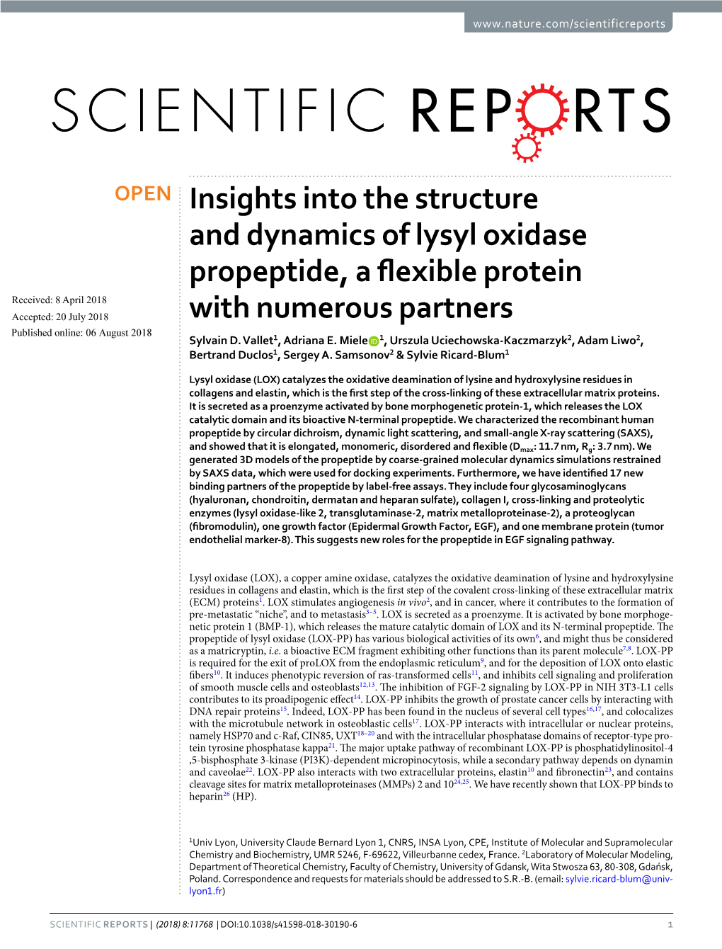 Insights Into the Structure and Dynamics of Lysyl Oxidase