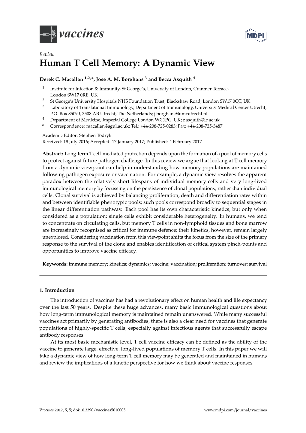 Human T Cell Memory: a Dynamic View