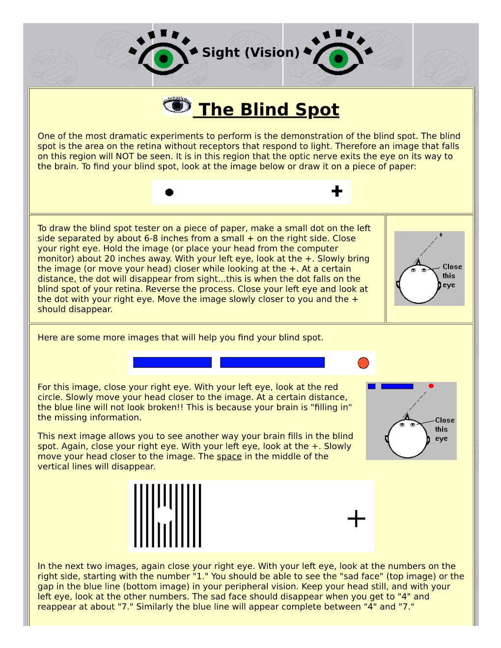 The Blind Spot