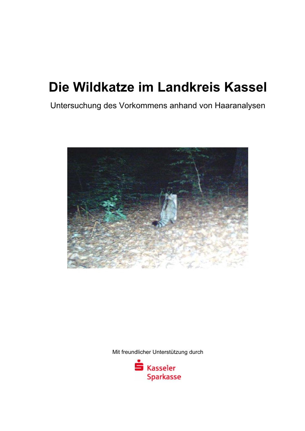 Die Wildkatze Im Landkreis Kassel Untersuchung Des Vorkommens Anhand Von Haaranalysen