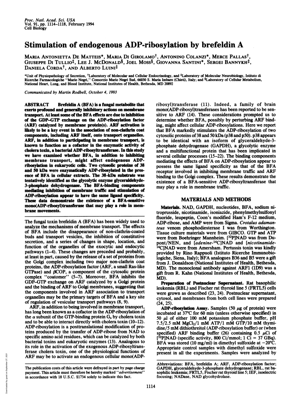 Stimulation of Endogenous ADP-Ribosylation by Brefeldin A