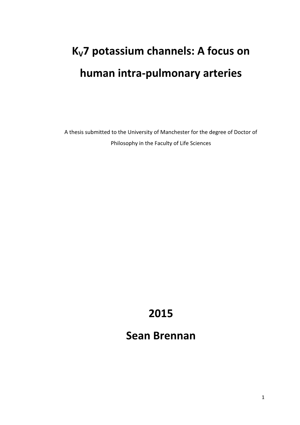 KV7 Potassium Channels: a Focus on Human Intra-Pulmonary Arteries