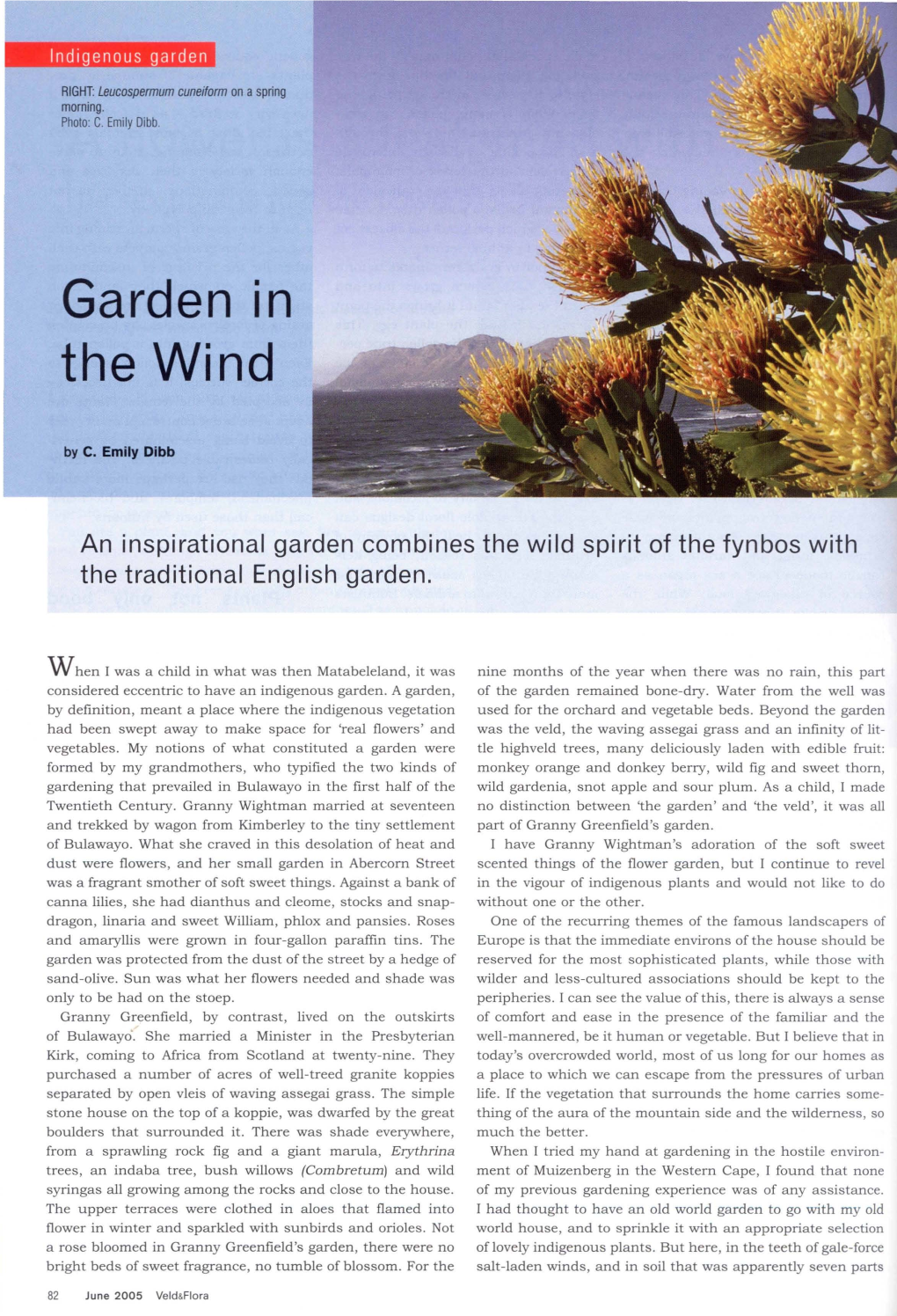 The Wind Garden