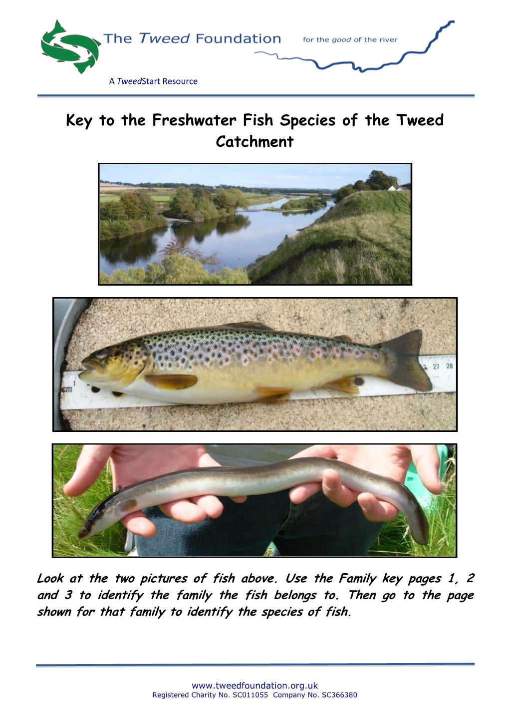 Key to the Freshwater Fish Species of the Tweed Catchment