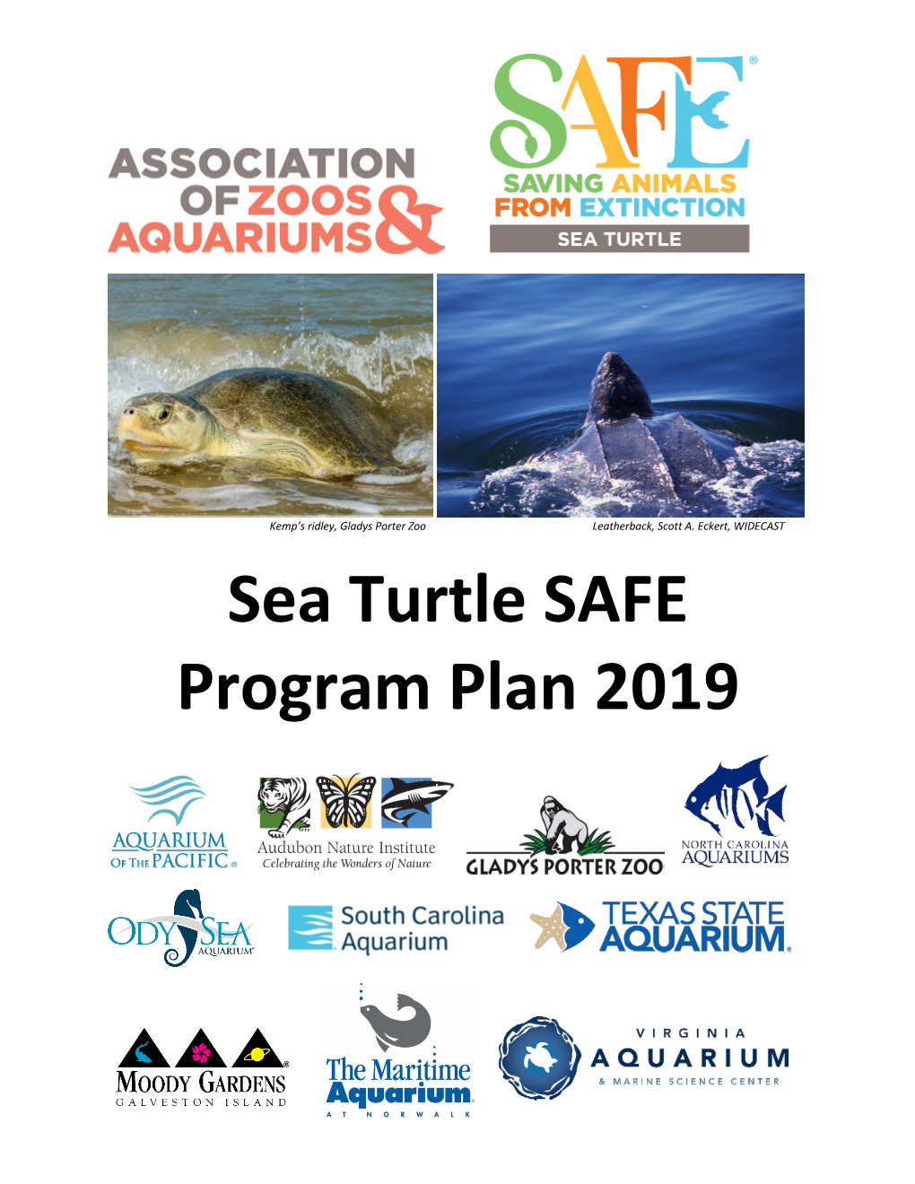 Sea Turtle SAFE Program Plan 2019