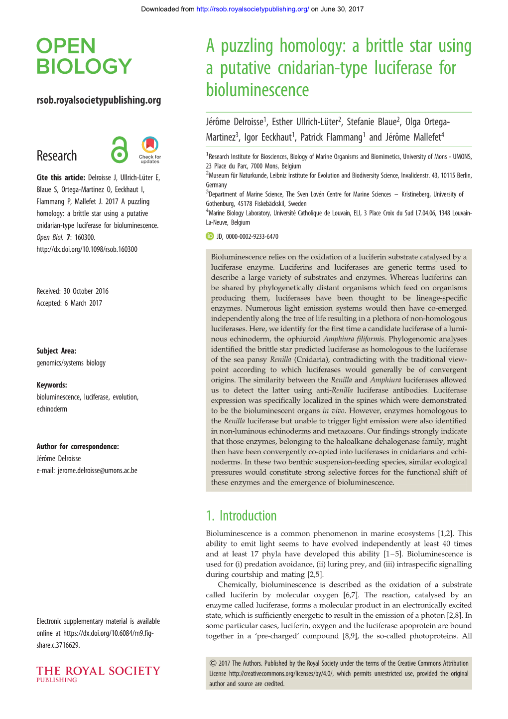 A Puzzling Homology: a Brittle Star Using a Putative Cnidarian-Type