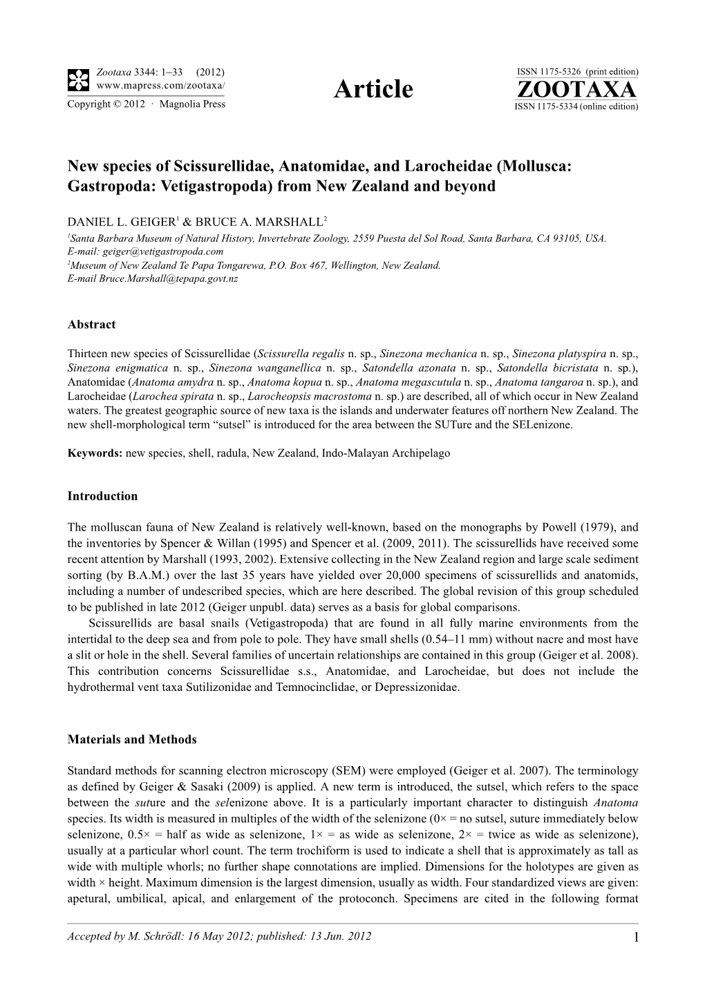 New Species of Scissurellidae, Anatomidae, and Larocheidae (Mollusca: Gastropoda: Vetigastropoda) from New Zealand and Beyond