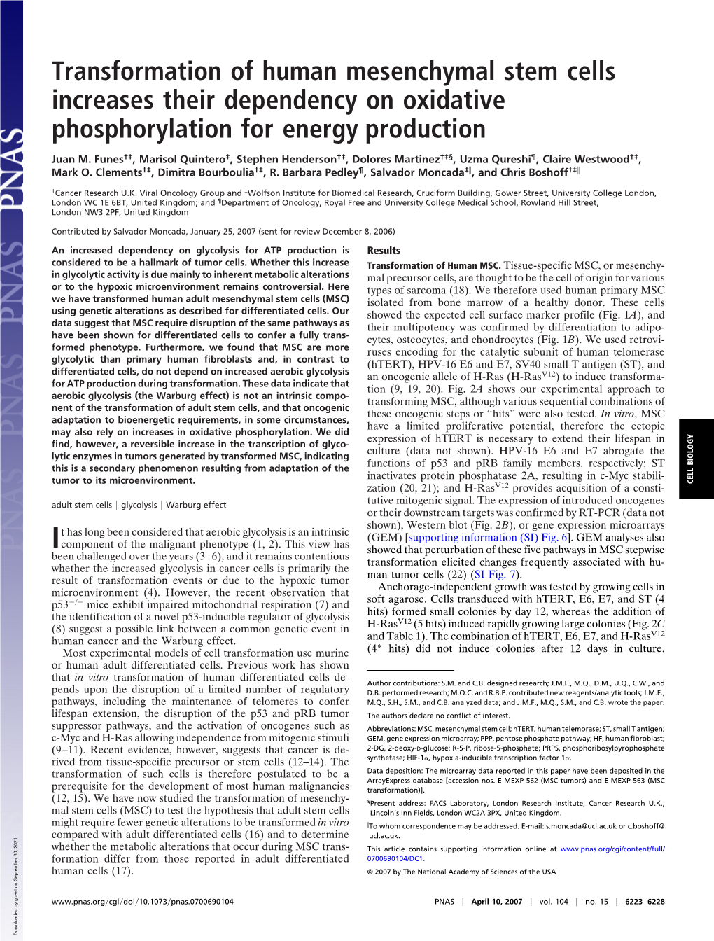 Transformation of Human Mesenchymal Stem Cells Increases Their Dependency on Oxidative Phosphorylation for Energy Production