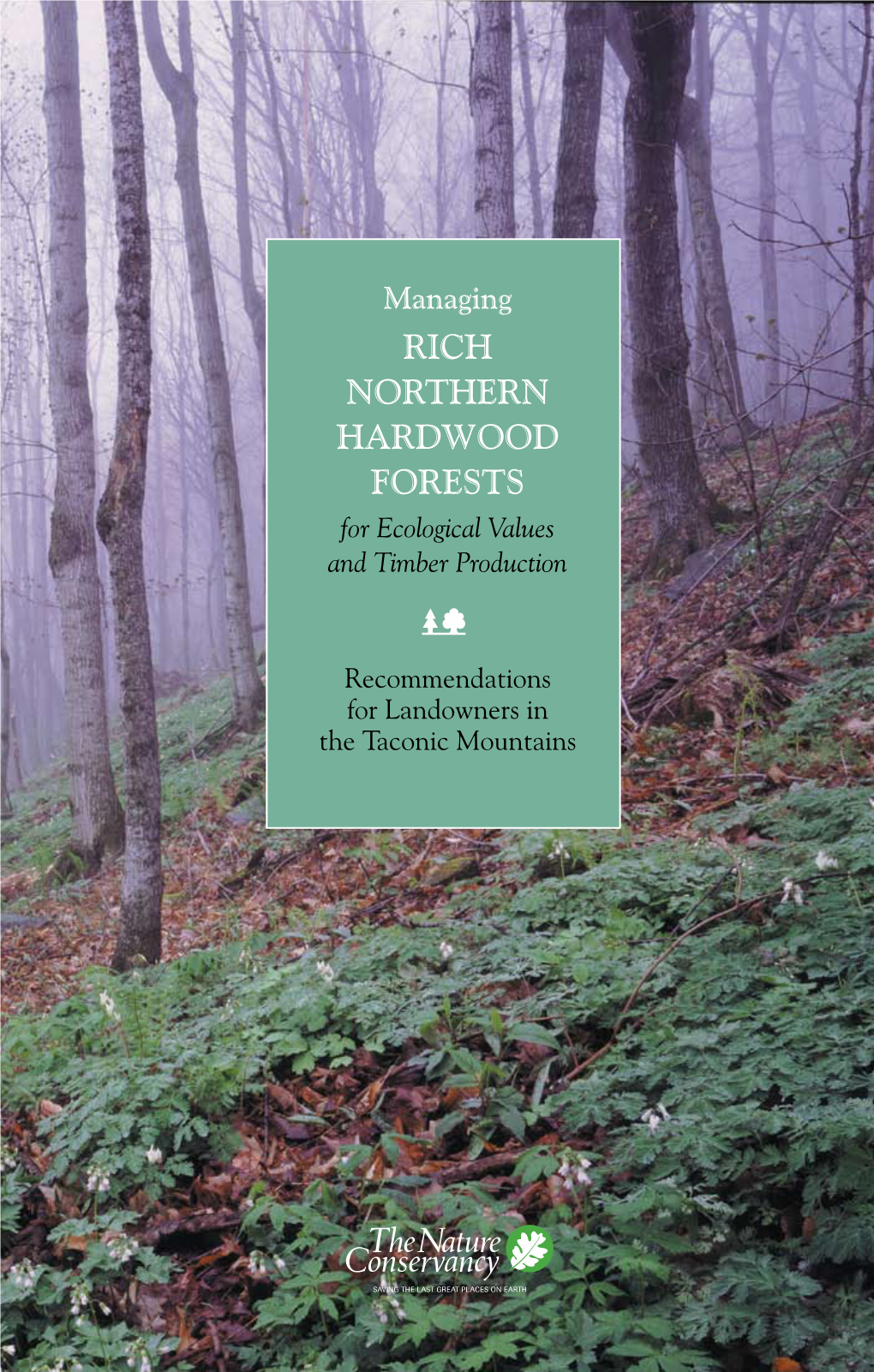 Rich Northern Hardwood Forests