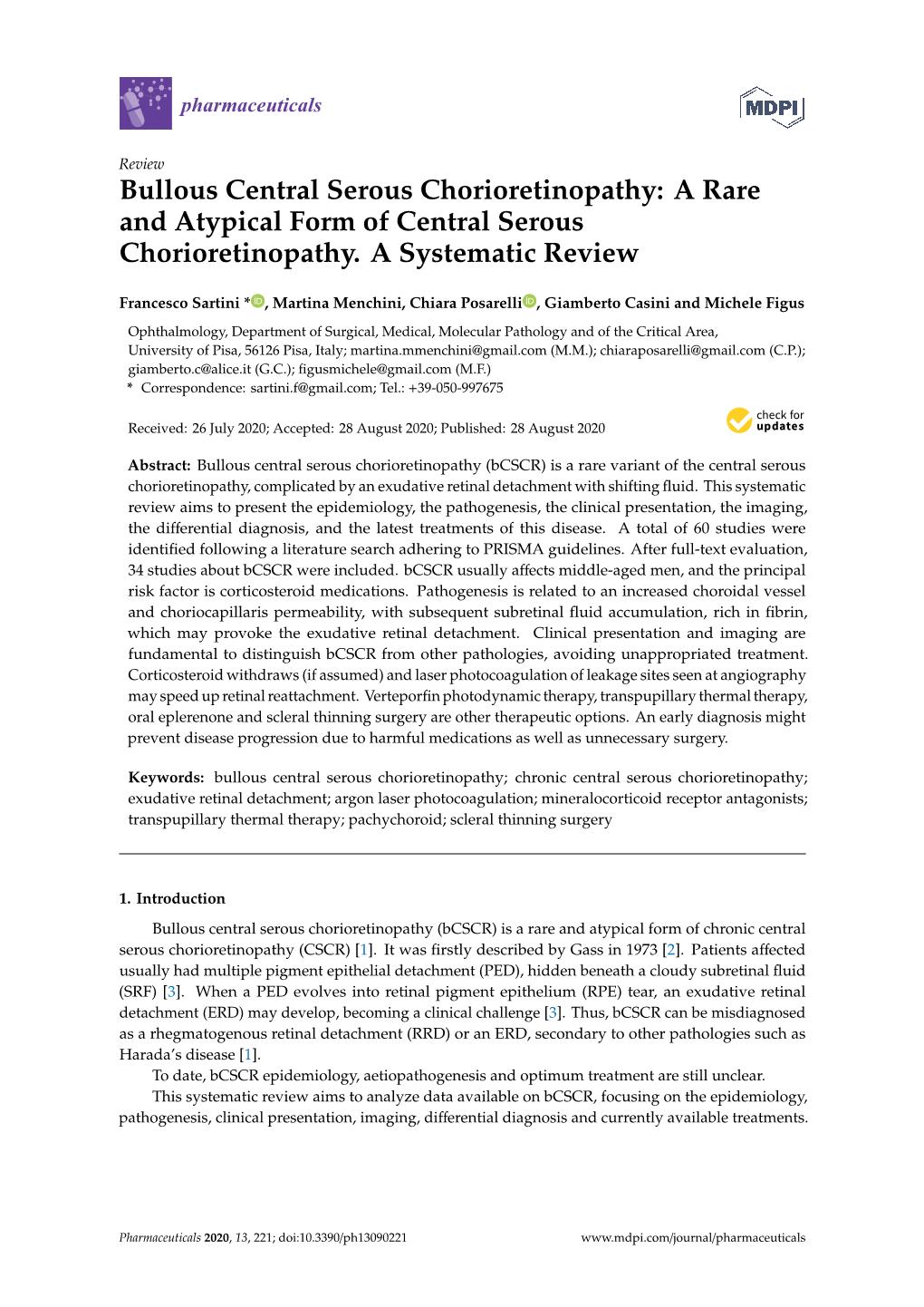 Bullous Central Serous Chorioretinopathy: a Rare and Atypical Form of Central Serous Chorioretinopathy