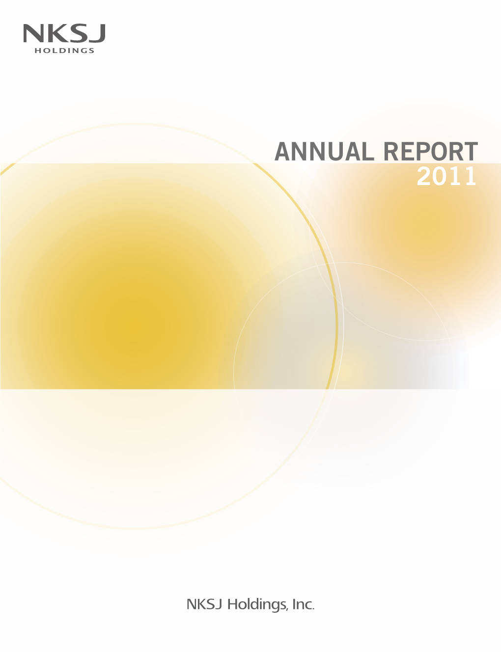 NKSJ Holdings Annual Report 2011(PDF/3825KB)