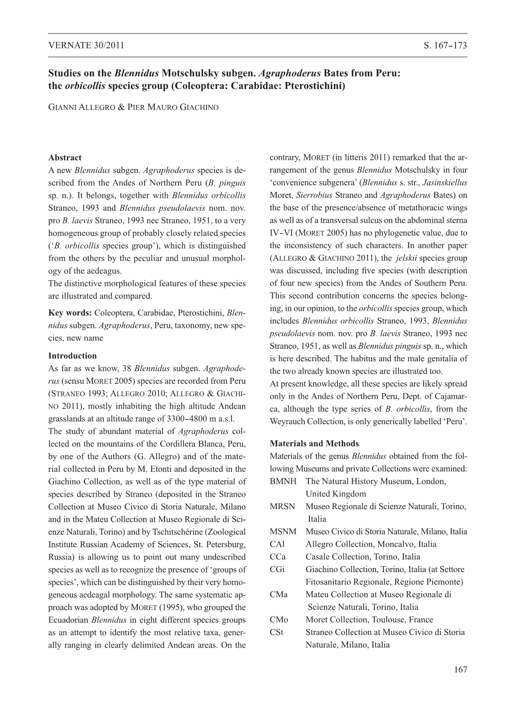 Studies on the Blennidus Motschulsky Subgen. Agraphoderus Bates from Peru: the Orbicollis Species Group (Coleoptera: Carabidae: Pterostichini)