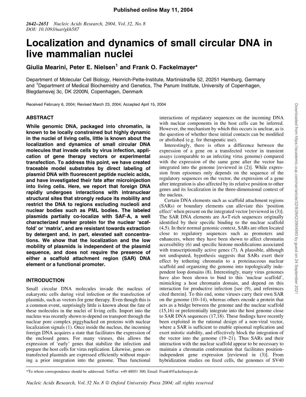 Localization and Dynamics of Small Circular DNA in Live Mammalian Nuclei