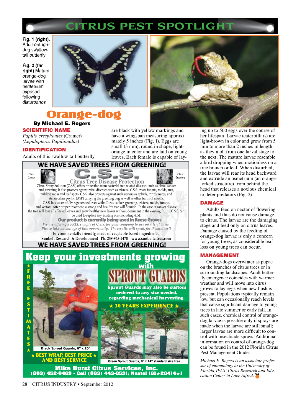 CITRUS PEST SPOTLIGHT Orange-Dog