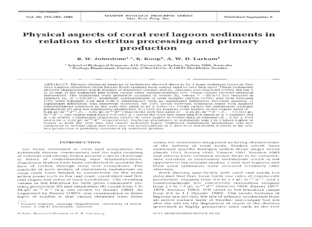 Physical Aspects of Coral Reef Lagoon Sediments in Relation to Detritus Processing and Primary Production