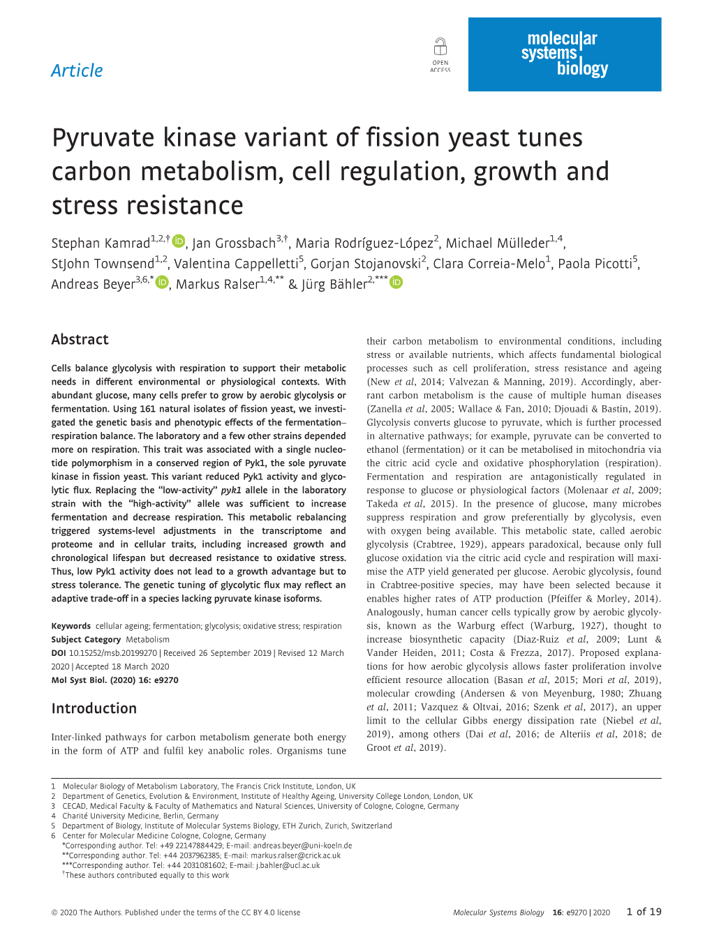 Pyruvate Kinase Variant of Fission Yeast Tunes Carbon Metabolism, Cell Regulation, Growth and Stress Resistance