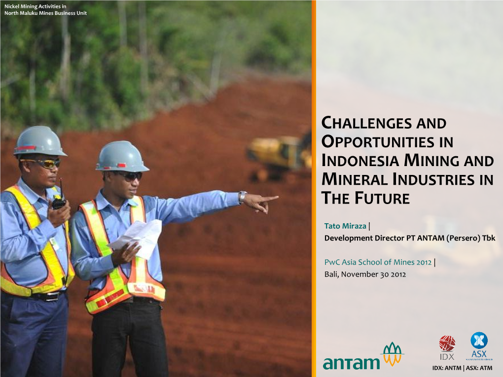 Challenges and Opportunities in Indonesia Mining and Mineral Industries in the Future