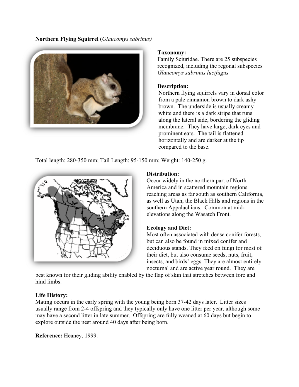 Northern Flying Squirrel (Glaucomys Sabrinus) Taxonomy: Family