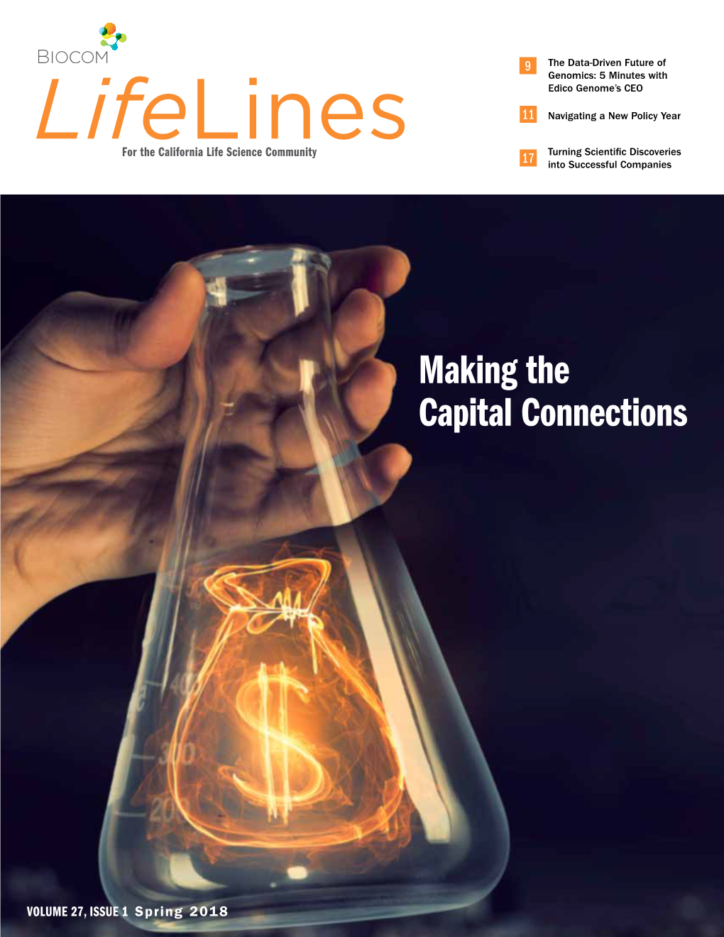 Making the Capital Connections