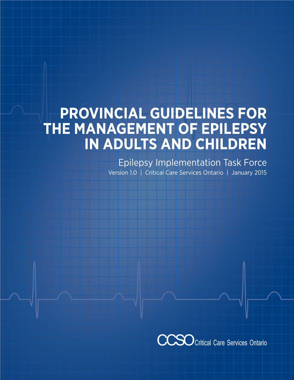 Provincial Guidelines for the Management of Epilepsy in Adults