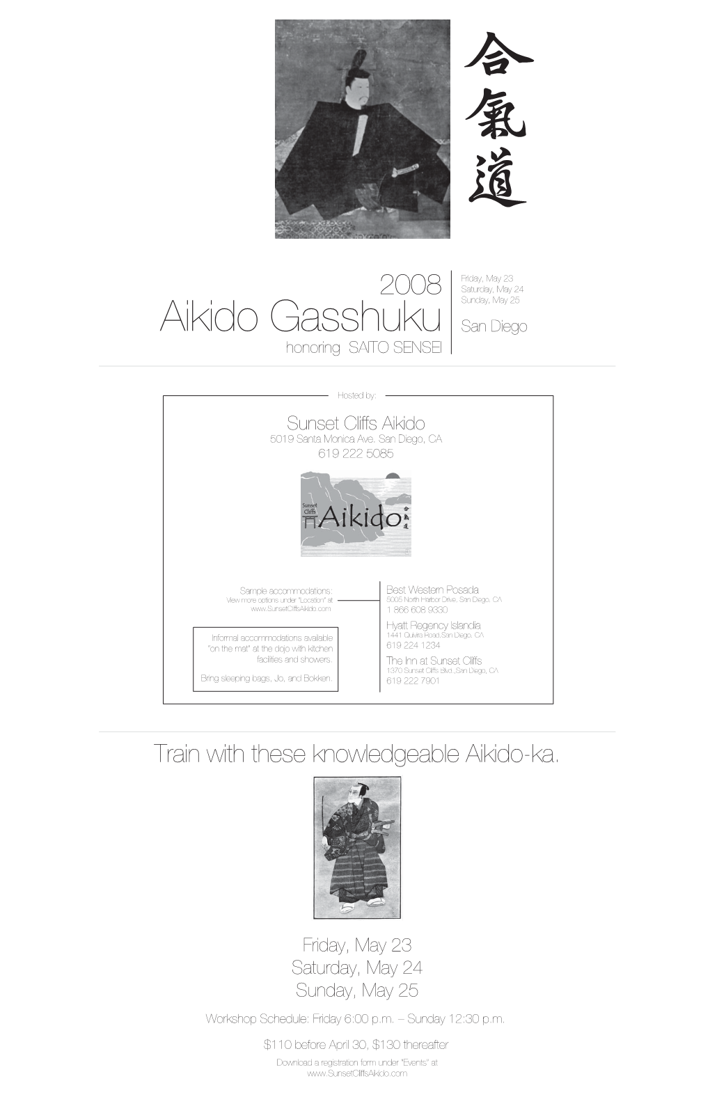 Aikido Gasshuku 08-Onscreen.Ai