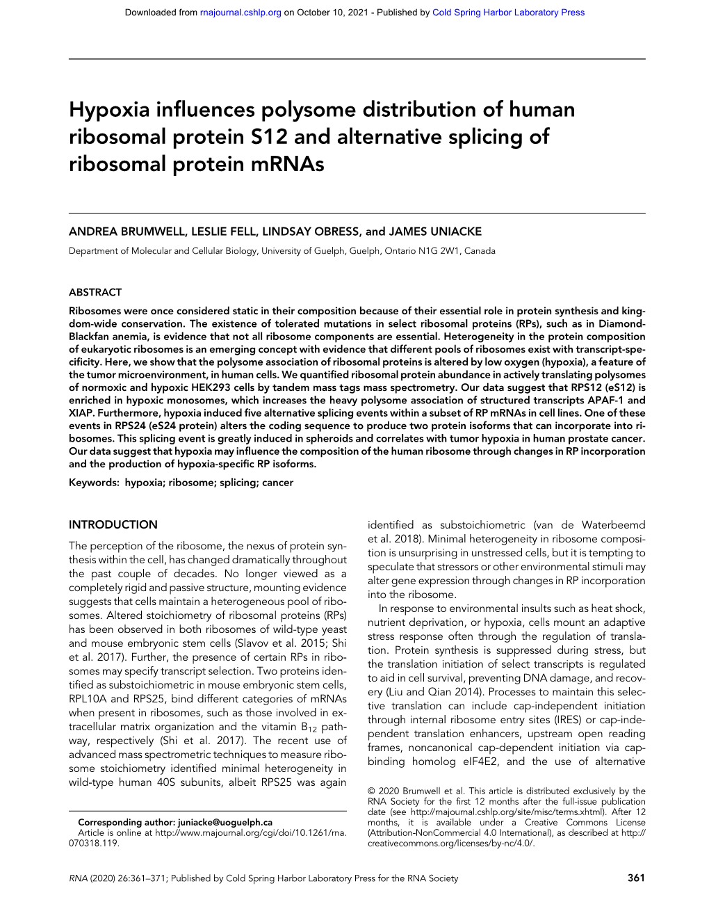 Hypoxia Influences Polysome Distribution of Human Ribosomal Protein S12 and Alternative Splicing of Ribosomal Protein Mrnas