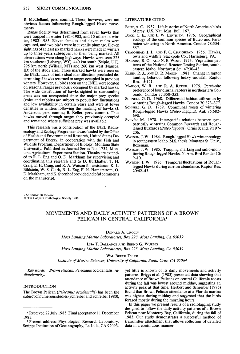 Movements and Daily Activity Patterns of a Brown Pelican in Central California ’