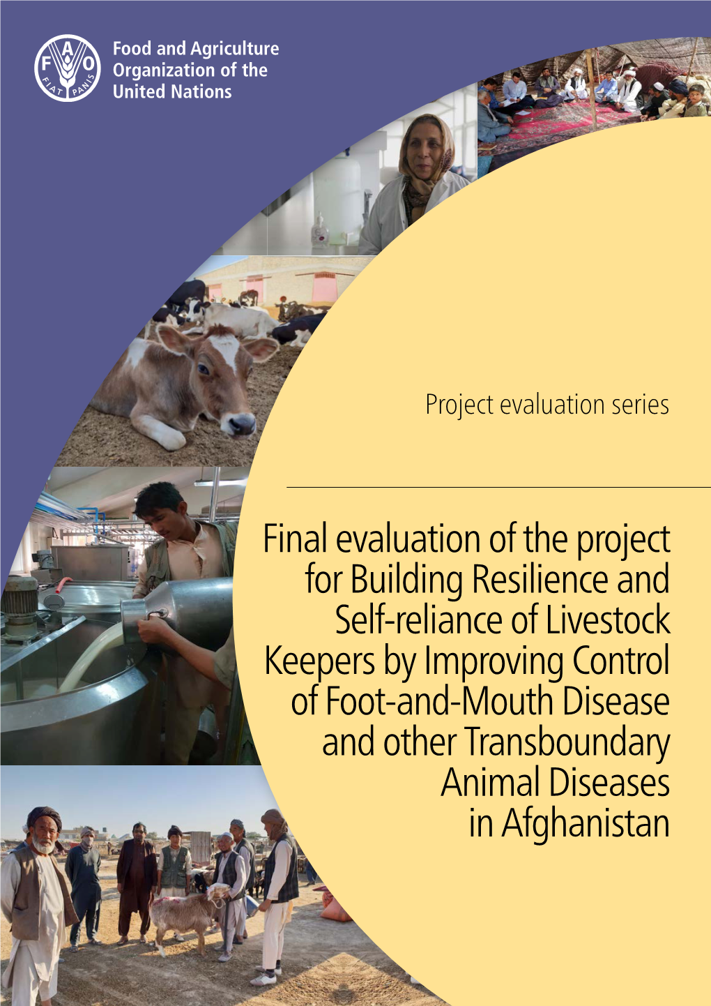 Final Evaluation of the Project for Building Resilience and Self