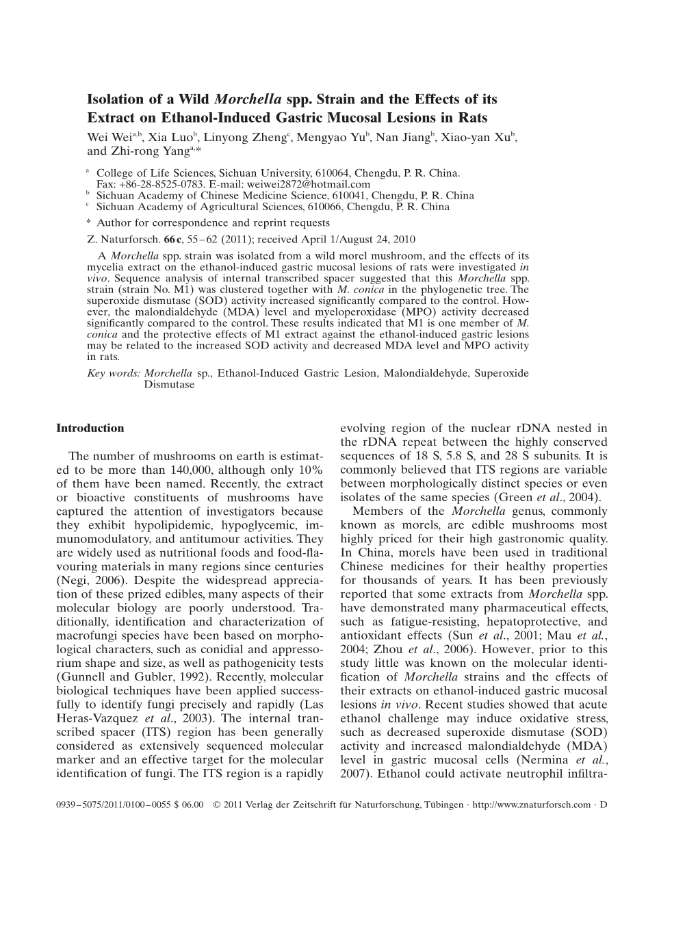 Isolation of a Wild Morchella Spp. Strain and the Effects of Its Extract